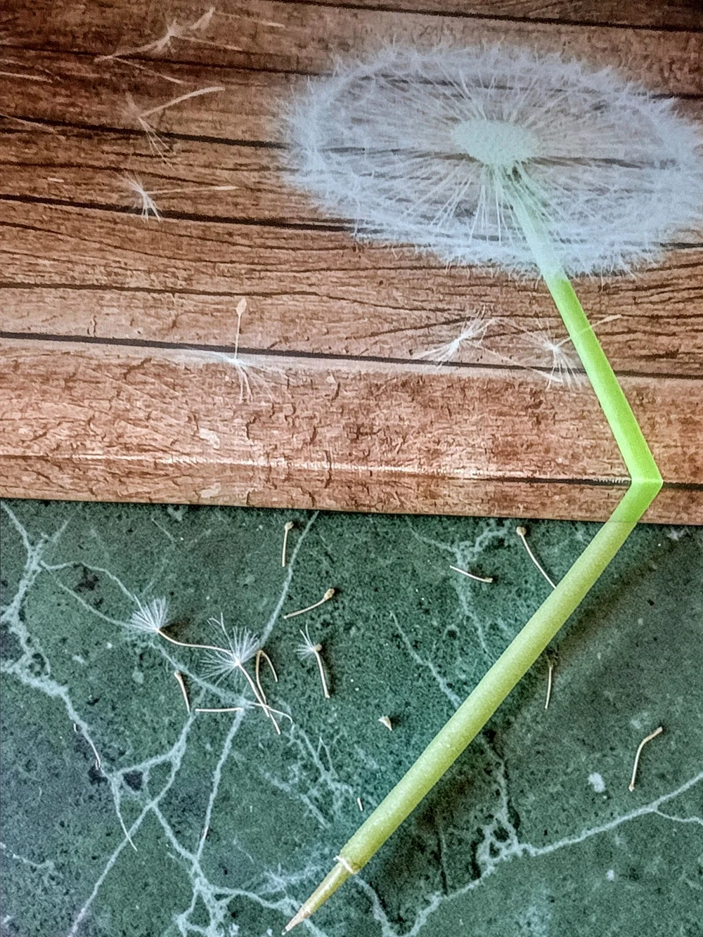 Wall26 Dandelion Canvas Wall Art - 15.75